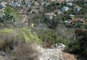 Non-developable land for sale on España, Pedreguer, ref: TR112650 photo