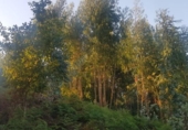 Land suitable for development for sale on España, Gondomar, ref: TR132700 photo