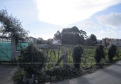 Non-developable land for sale on España, Vilanova de Arousa, ref: TR112925 photo