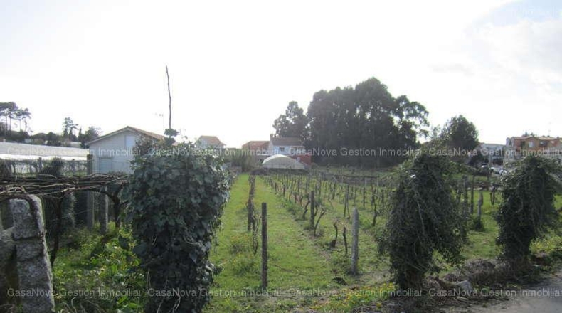 Pontevedra - Vilanova de Arousa - 1500m2