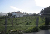 Non-developable land for sale on España, Vilanova de Arousa, ref: TR112925 photo