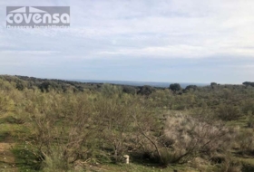 Navas del Rey 62471&nbsp;m² 