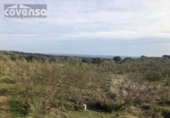 Terreny no urbanitzable en venda a la España, Navas del Rey, ref.: TR113041 foto