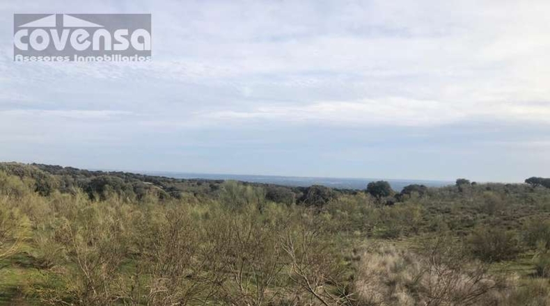 Comunidad de Madrid - Navas del Rey - 62471m2