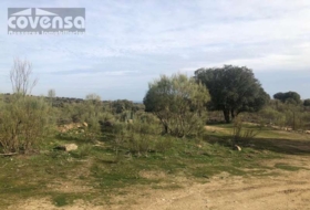 Navas del Rey 62471&nbsp;m² 