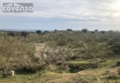 Terreny no urbanitzable en venda a la España, Navas del Rey, ref.: TR113041 foto