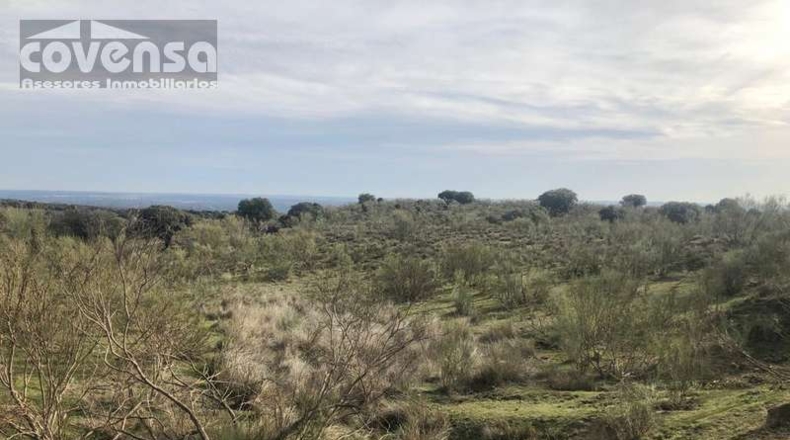 Comunidad de Madrid - Navas del Rey - 62471m2