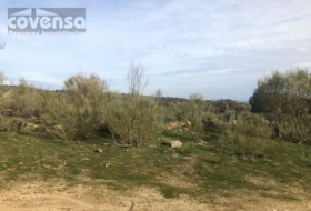 Navas del Rey 62471&nbsp;m² 