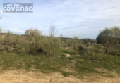 Terreny no urbanitzable en venda a la España, Navas del Rey, ref.: TR113041 foto