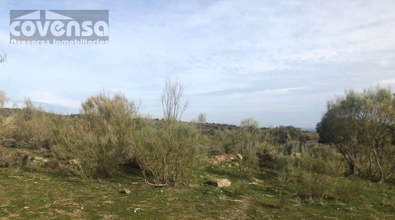 Comunidad de Madrid - Navas del Rey - 62471m2