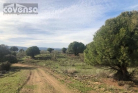 Navas del Rey 62471&nbsp;m² 