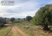 Terreny no urbanitzable en venda a la España, Navas del Rey, ref.: TR113041 foto