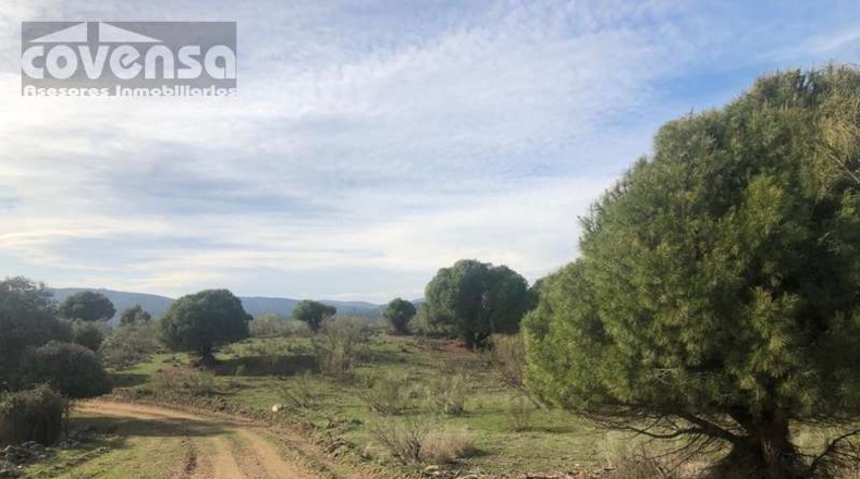 Comunidad de Madrid - Navas del Rey - 62471m2