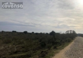 Terreny no urbanitzable en venda a la España, Navas del Rey, ref.: TR113041 foto