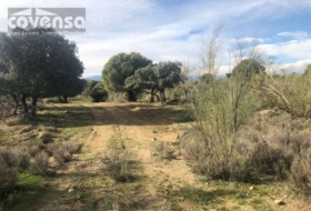 Navas del Rey 62471&nbsp;m² 