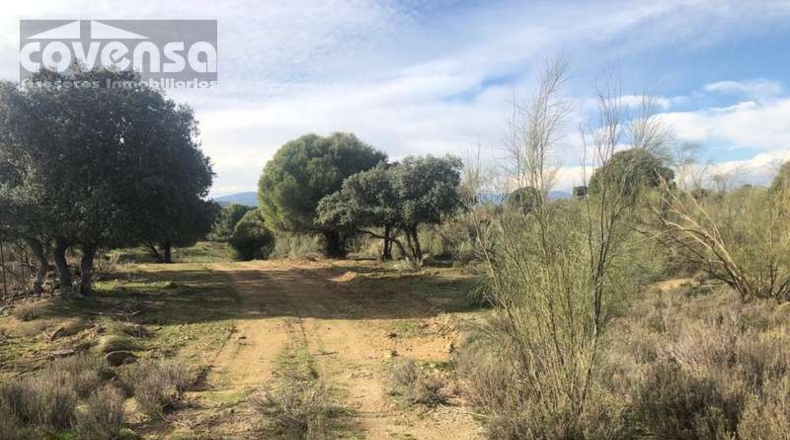Comunidad de Madrid - Navas del Rey - 62471m2