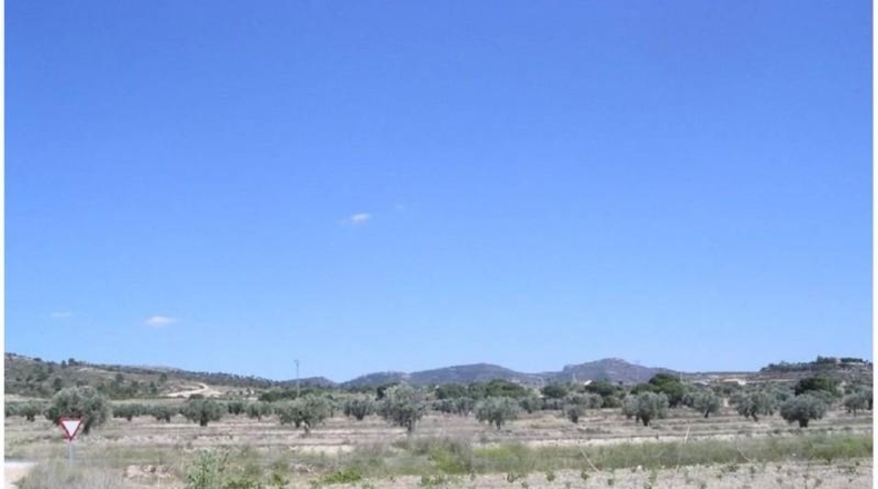 Alicante - Sax - 10773m2