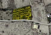 Terreny no urbanitzable en venda a la España, Campos del Río, ref.: TR113670 foto