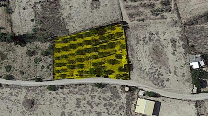 Múrcia - Campos del Río - 1200m2