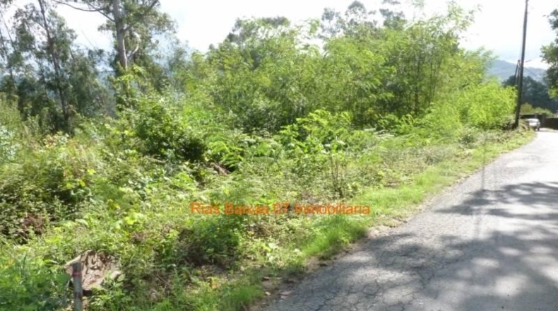 Pontevedra - Porriño - 1600m2