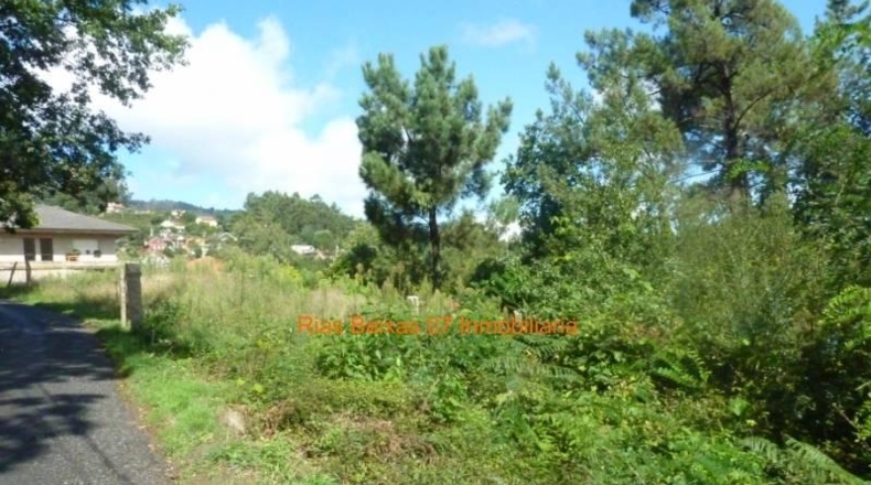 Pontevedra - Porriño - 1600m2