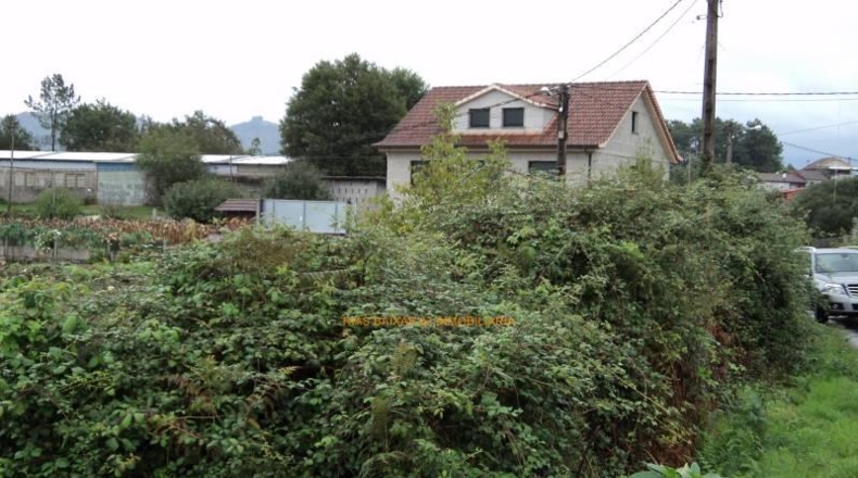 Pontevedra - Ponteareas - 1572m2