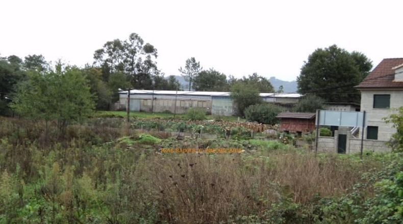 Pontevedra - Ponteareas - 1572m2