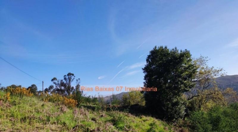 Pontevedra - Pazos de Borbén - 1763m2