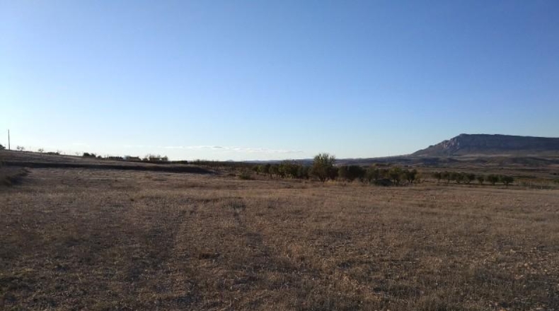 Albacete - Almansa - 15000m2