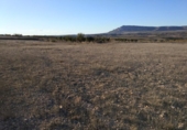 Terreny no urbanitzable en venda a la España, Almansa, ref.: TR113974 foto