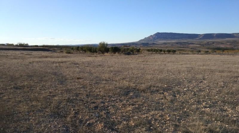 Albacete - Almansa - 15000m2