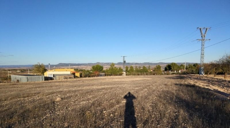 Albacete - Almansa - 15000m2