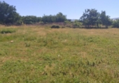 Sòl urbà en venda a la España, Ponferrada, ref.: TR114223 foto