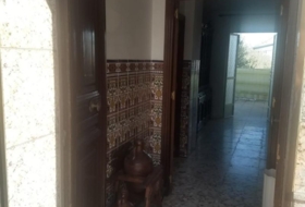 Foto 8