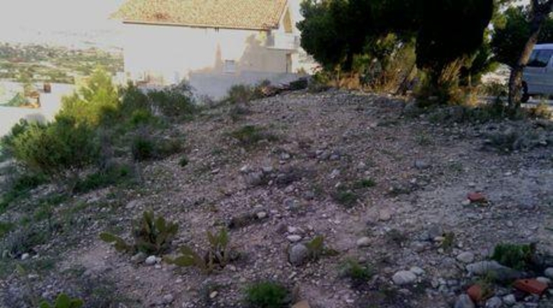 Múrcia - Alguazas - 877m2