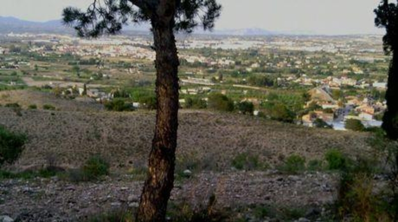 Múrcia - Alguazas - 877m2