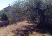 Terreno no urbanizable en venta en la España, Molina de Segura, ref: TR114513 foto