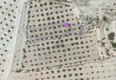 Terreno no urbanizable en venta en la España, Molina de Segura, ref: TR114513 foto