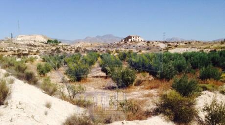 Múrcia - Molina de Segura - 7601m2