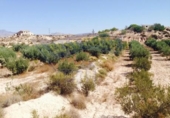 Terreno no urbanizable en venta en la España, Molina de Segura, ref: TR114513 foto