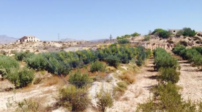 Múrcia - Molina de Segura - 7601m2