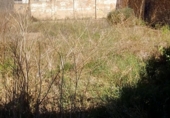 Sòl urbà en venda a la España, Castelló de la Plana, ref.: TR114714 foto
