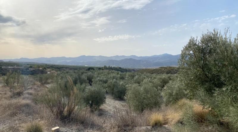 Almeria - Somontín - 26845m2