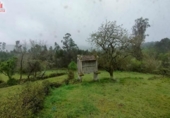 Chalet independiente con terreno en venta en la España, Cea, ref: TR303198 foto