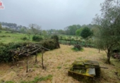 Chalet independiente con terreno en venta en la España, Cea, ref: TR303198 foto