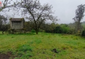 Chalet independiente con terreno en venta en la España, Cea, ref: TR303198 foto