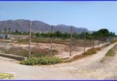 Casa de camp amb terreny en venda a la España, Santomera, ref.: TR295808 foto