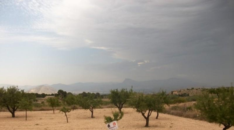 Alicante - Monóvar - 10000m2