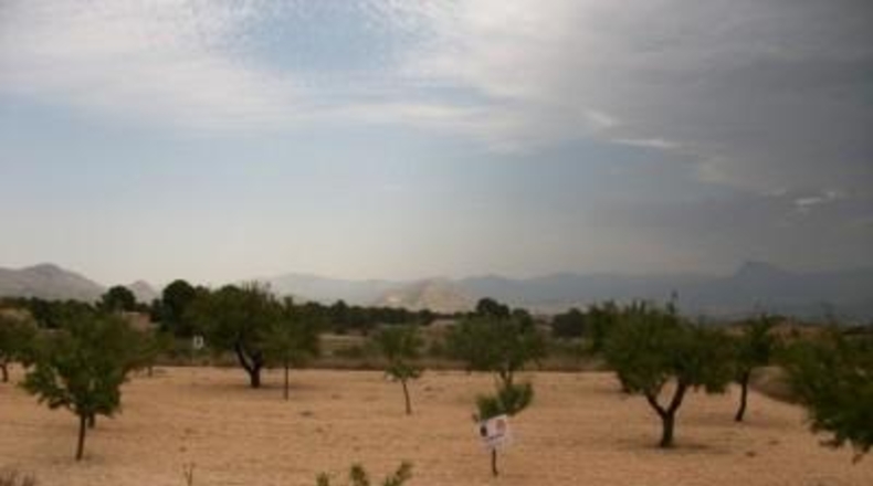 Alicante - Monóvar - 10000m2