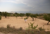 Terreny no urbanitzable en venda a la España, Monòver, ref.: TR122118 foto